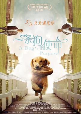 开心午夜婷婷色婷在线